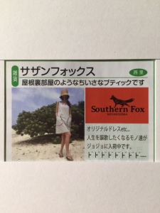 宮古島　southern fox
