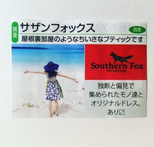 宮古島　southern fox
